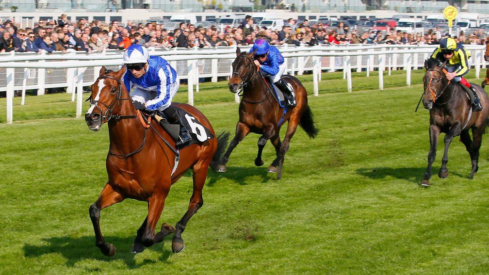 Migration (middle) chases home impressive winner Fox Chairman at Newbury on Saturday