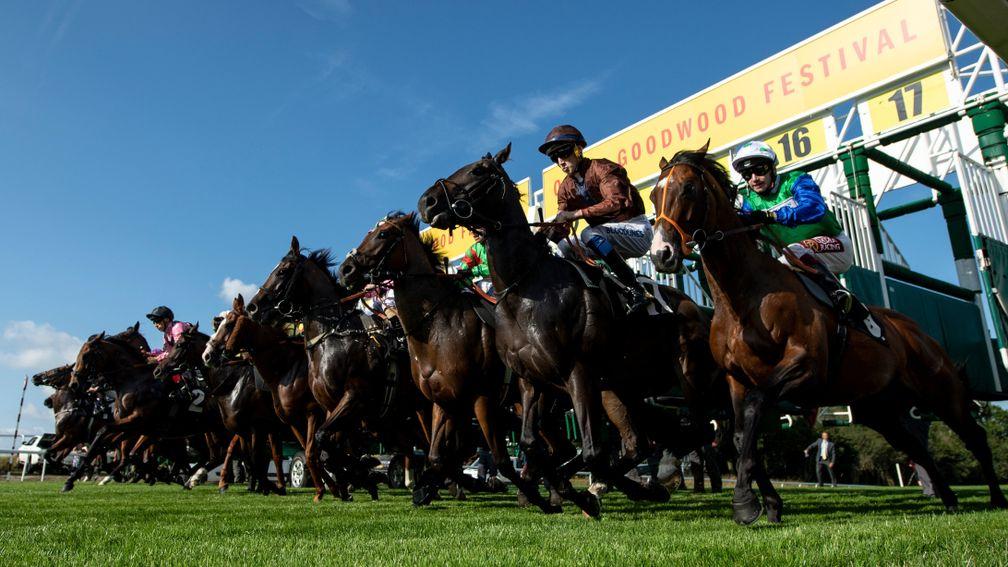 Glorious Goodwood and York's Ebor meeting are both expected to benefit from the government announcement on Monday