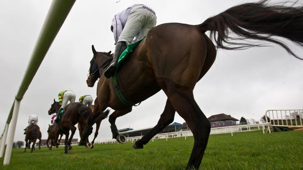 Business as usual: horses will be permitted to race as long as they've been vaccinated within the past 56 days