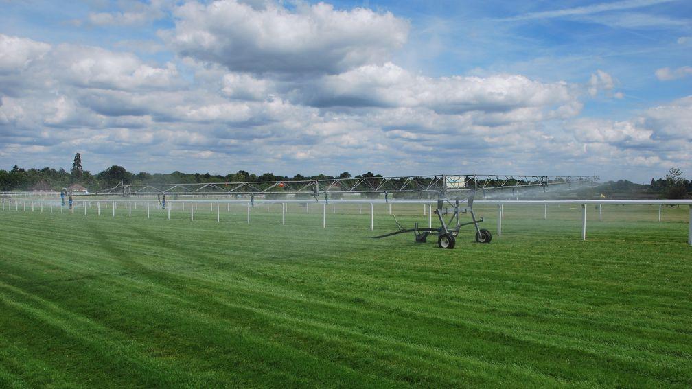 Watering has become far too common on British racecourses