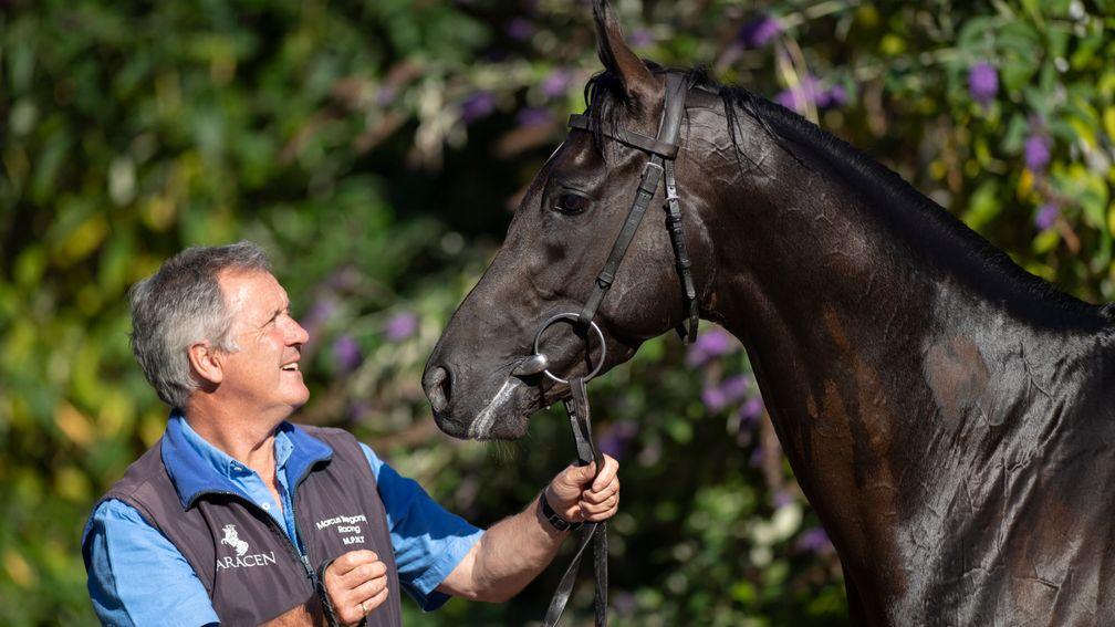Marcus Tregoning with Sheikh Hamdan's last great champion, Mohaather