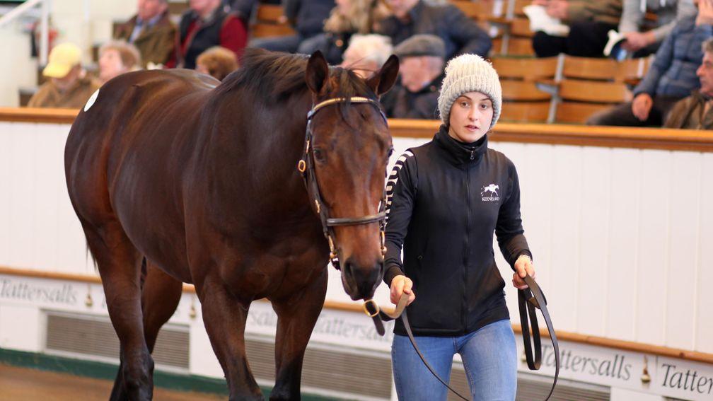 Lot 1,739: Tara Armstrong with the session-topping Night Of Thunder colt