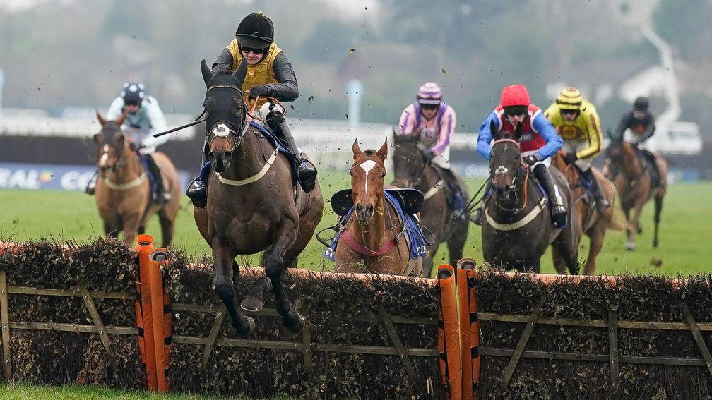 Cobblers Dream: Lanzarote winner is going over fences this season