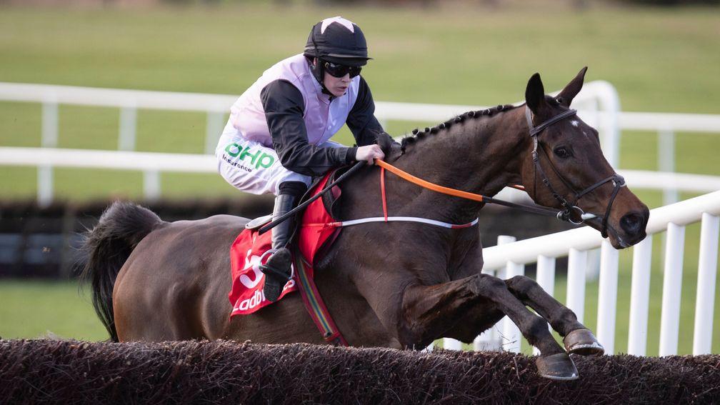 Chris's Dream looks a live outsider for the Henry de Bromhead stable in the Gold Cup