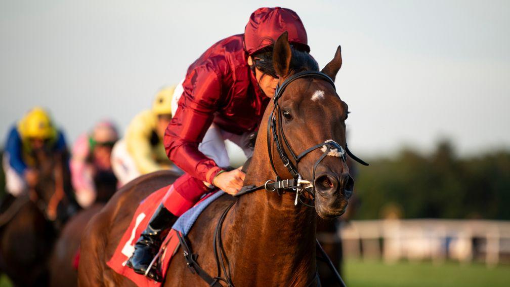 King Of Comedy: 'We expect this trip of a mile and a quarter to suit him better,' said trainer John Gosden