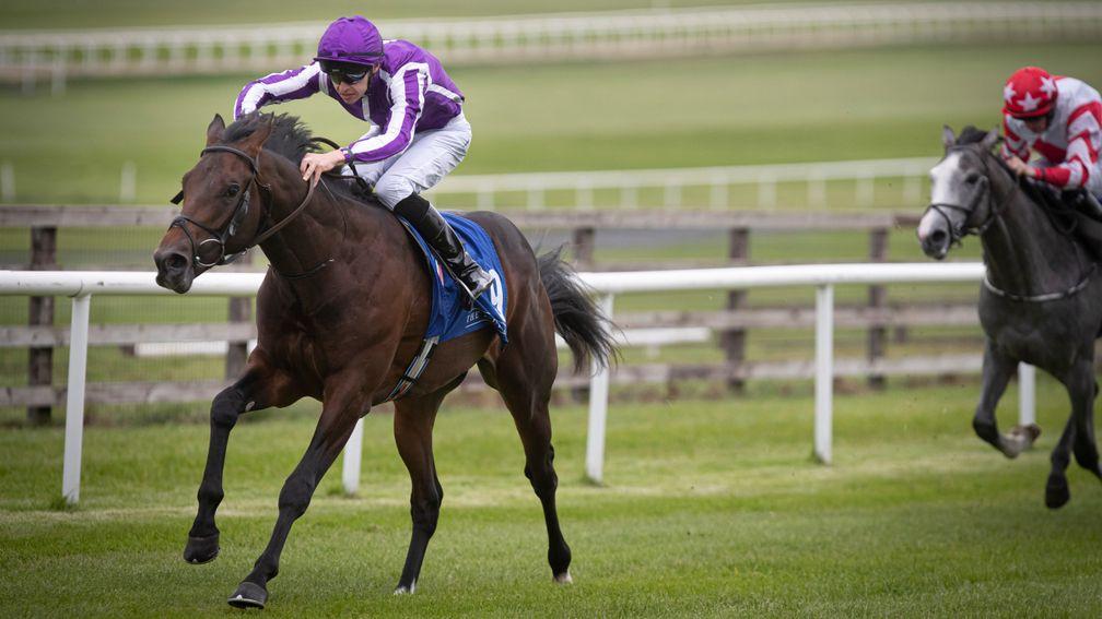 Lope Y Fernandez: impressive winner on debut at the Curragh this month