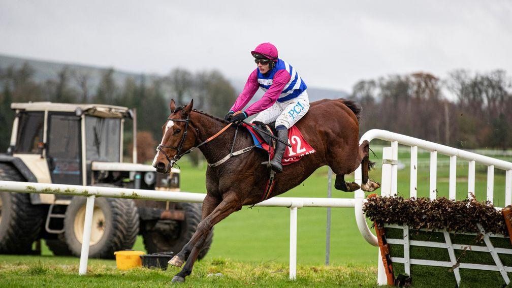 Youmdor: holds obvious claims for Willie Mullins and Paul Townend