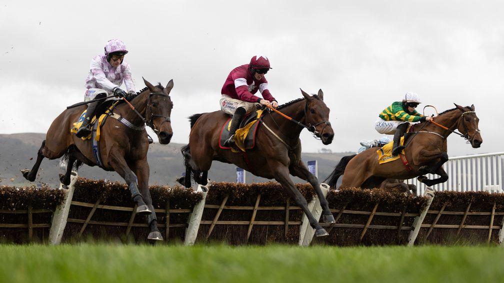 Golden Ace (left): finished to best effect in the Mares' Novices' Hurdle
