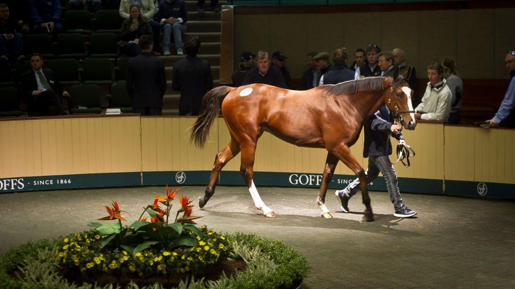 The Goffs Orby Sale starts on Tuesday, followed by the Sportsman's Sale on Thursday