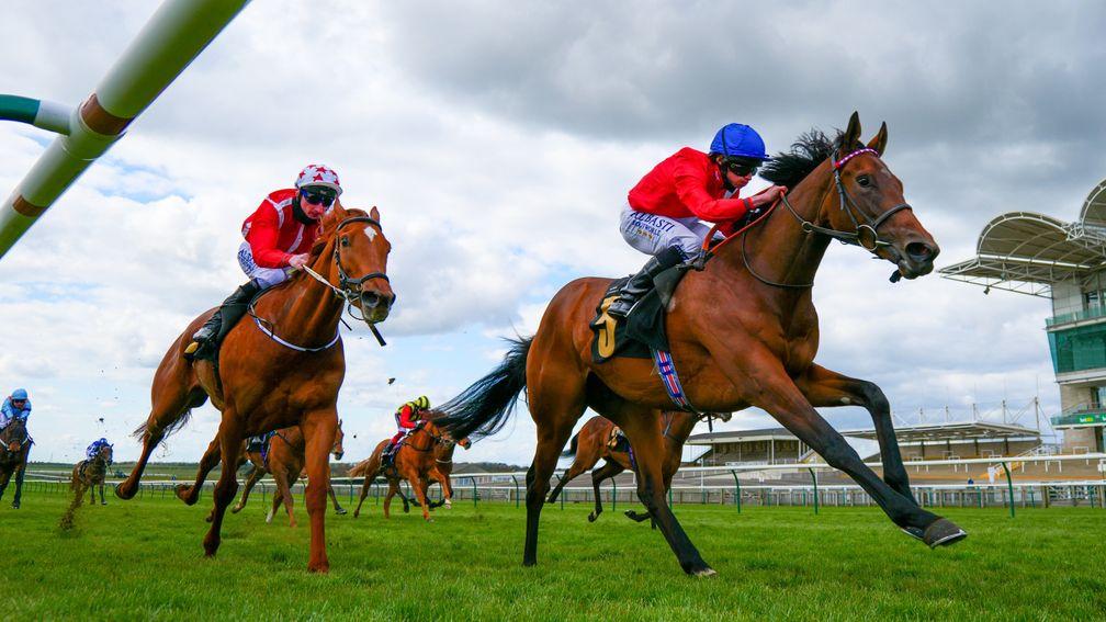 Saffron Beach (left) chases home Sacred in the Nell Gwyn Stakes