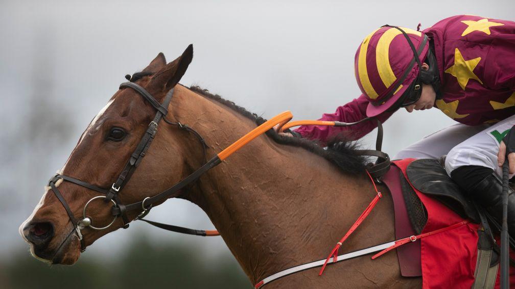 Monalee: leading contender for Saturday's King George VI Chase