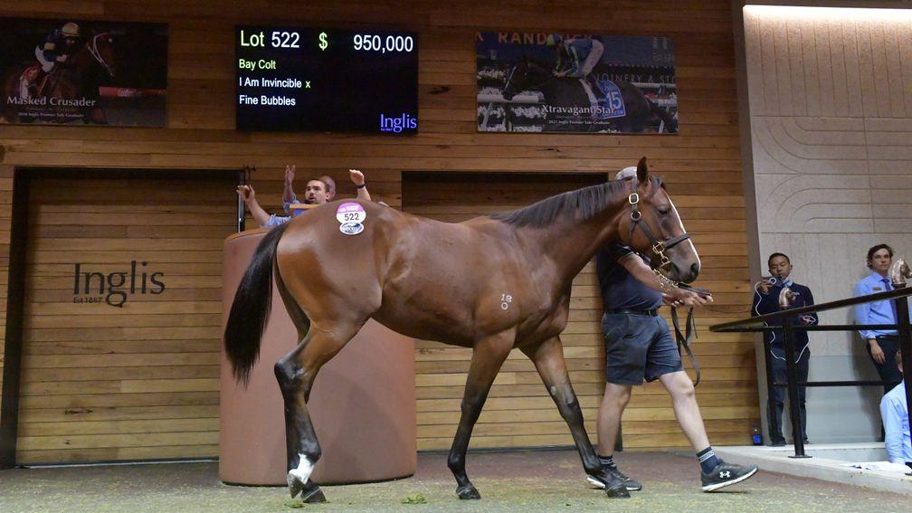 A colt by I Am Invincible sold to Tom Magnier for $950,000 on the second day of the Inglis Melbourne Premier Yearling Sale
