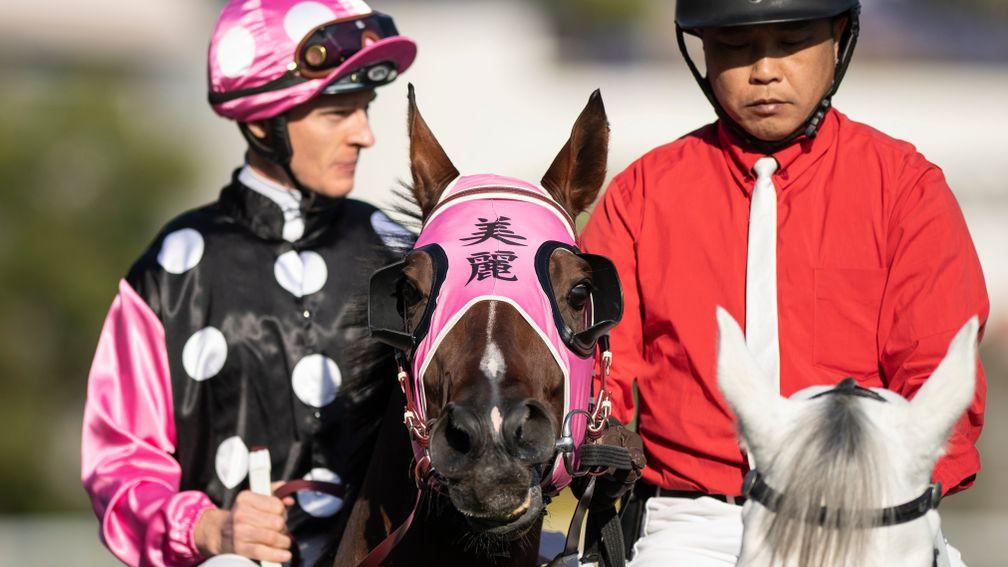 Beauty Generation and Zac Purton before finishing third in the Hong Kong Mile