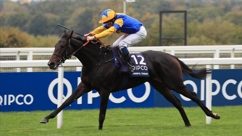 Wonderful Tonight: could be partnered by Oisin Murphy for the first time at Ascot on Saturday