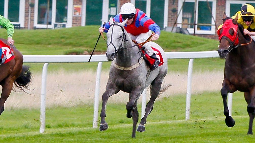 Time Medicean: Tony Carroll's grey can go one better after being caught on the line last time