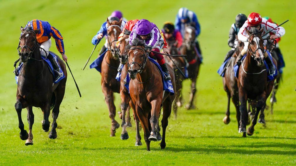 Wembley (left) finishes second to St Mark's Basilica in the 2020 Dewhurst at Newmarket
