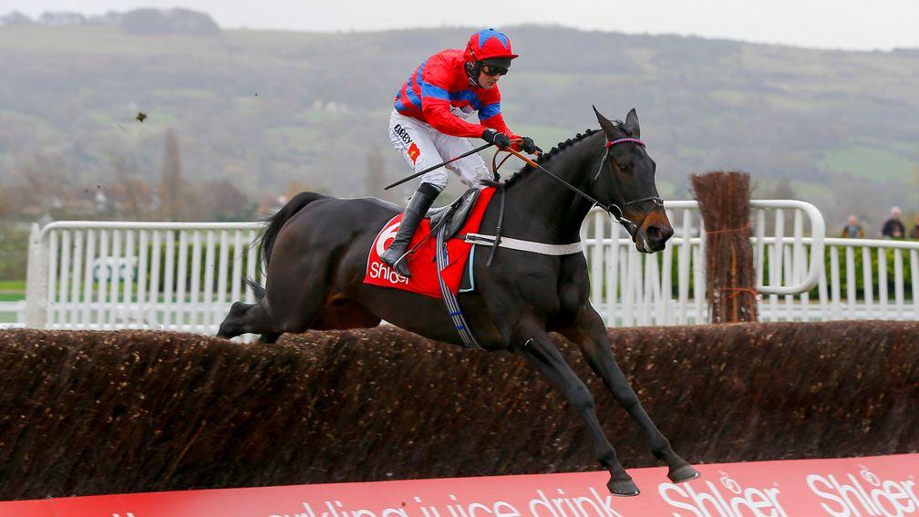 Victory in Cheltenham's Shloer Chase was the springboard to Champion Chase glory in 2016. 'It had to happen for him in the Shloer Chase. We were pretty confident it would,' says Nicky Henderson