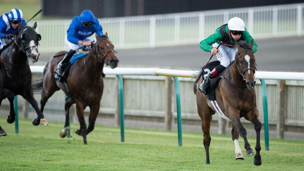 Limato: comfortably wins the Criterion Stakes at Newmarket under Adam Kirby
