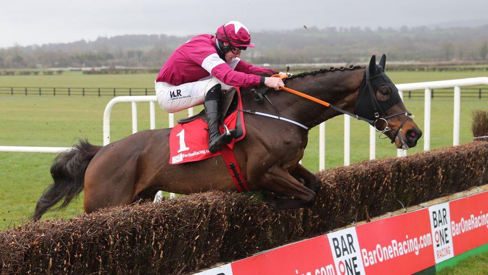 Conflated: Kerry National favourite could be unexposed says trainer Gordon Elliott