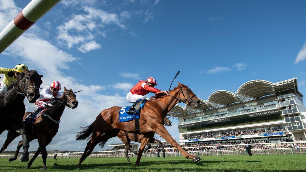 Daahyeh (red): fends off the challengers to land the Rockfel Stakes