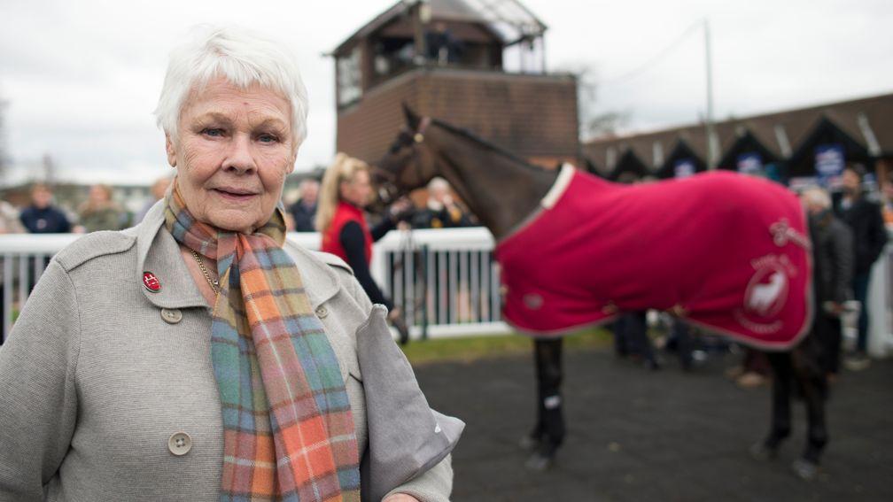 Dame Judi Dench with her Lincoln winner Smokey Oakey at Lingfield in 2015