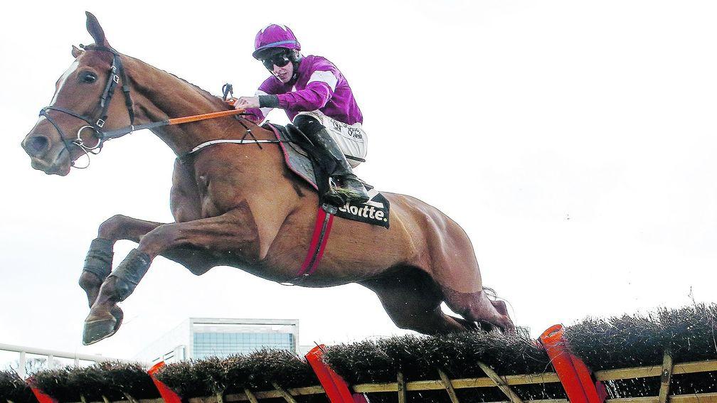 Samcro: victory in the Champion Hurdle could seal the deal for Elliott