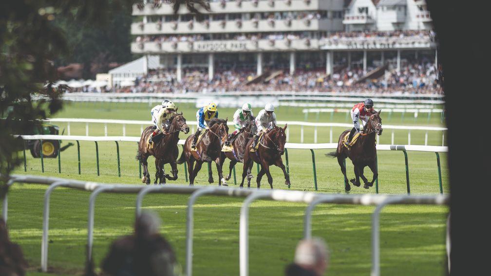 The action continues at Haydock on Monday