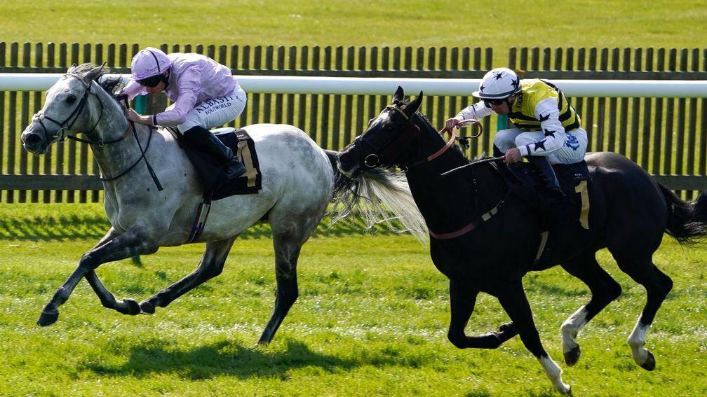 Garrus (left): a narrow winner of last year's Abernant Stakes