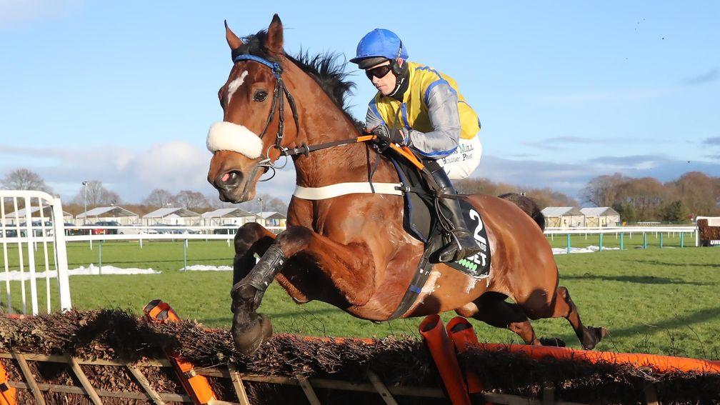Navajo Pass skips over another flight of hurdles for Sean Quinlan to land the New One Hurdle