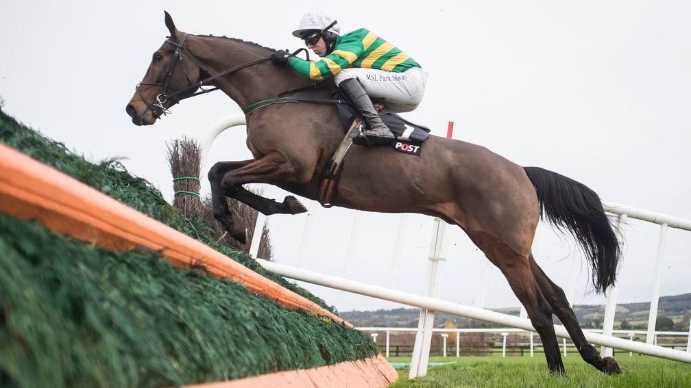 Any Second Now: Ted Walsh's hope is entered in both the Grade 1 novice chases