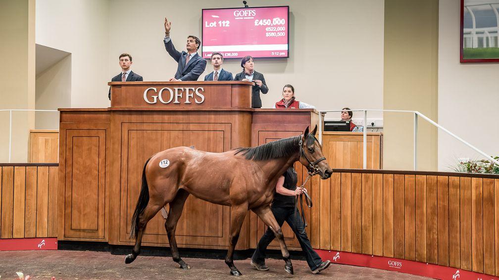 Lot 112: the sale-topping Siyouni filly in the Goffs UK ring before being knocked down for £450,000