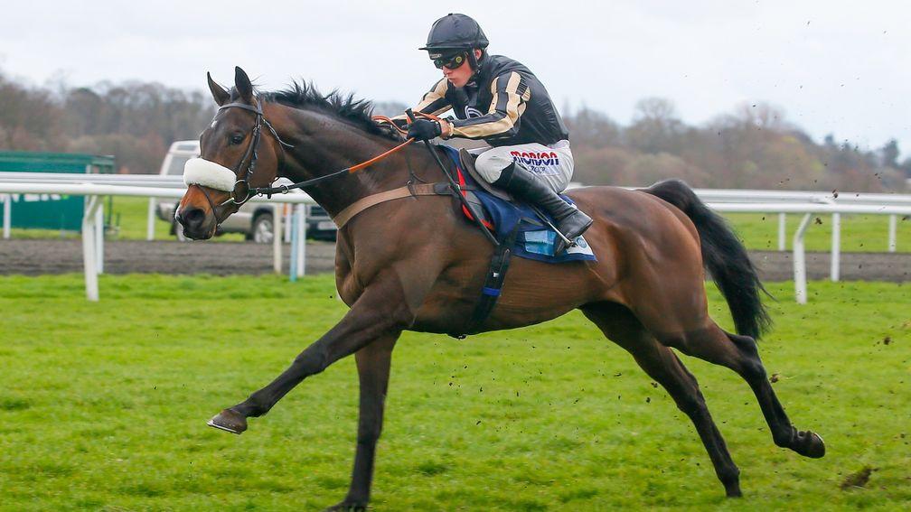 McFabulous: could dethrone Paisley Park in the Long Distance Hurdle at Newbury on Friday