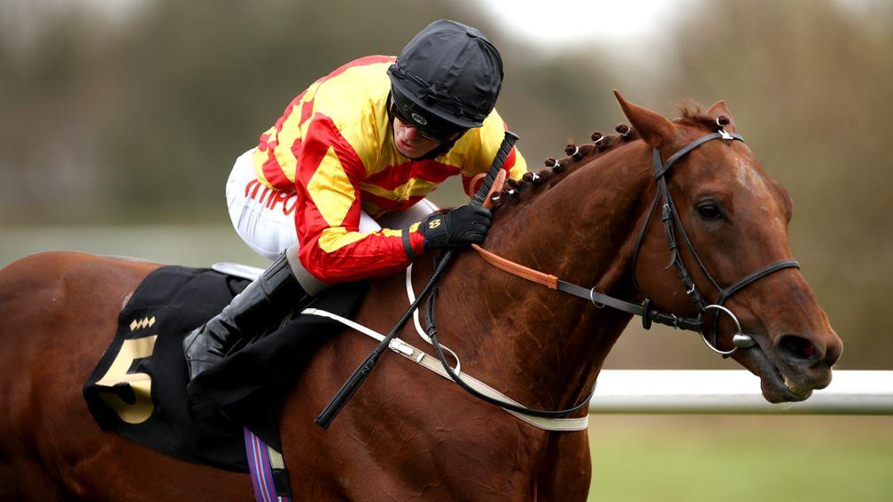 Sir Ron Priestley: early favourite for the Group 2 Yorkshire Cup