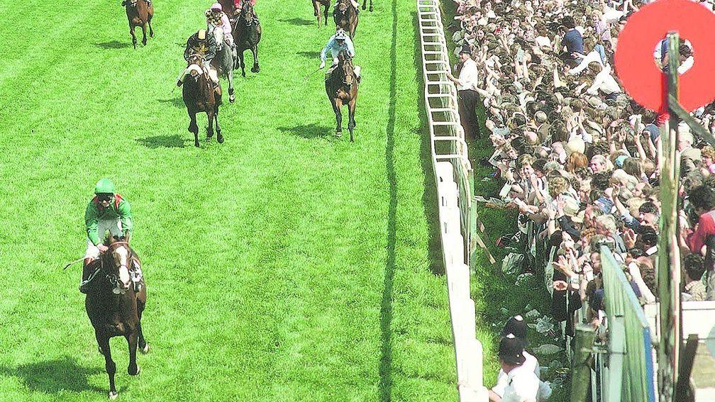 Shergar first, the rest nowhere - the Aga Khan's colt destroys his 1981 Derby opposition