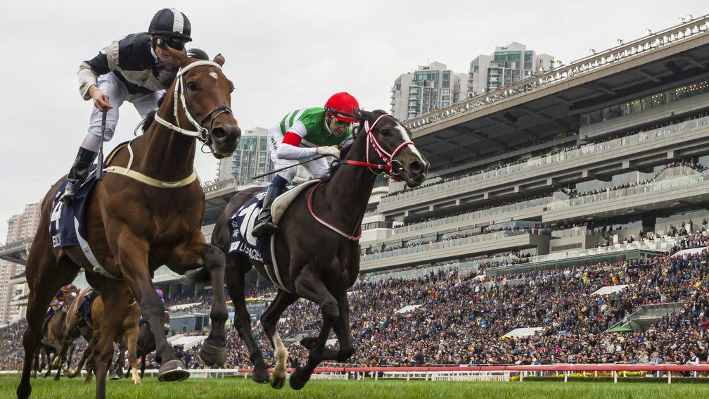 Exultant (left) gets the better of Lys Gracieux in the Longines Hong Kong Vase and they meet again in  the QEII Cup