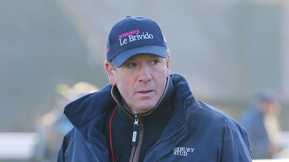 Simon Sweeting: launched Le Brivido at Overbury Stud this year
