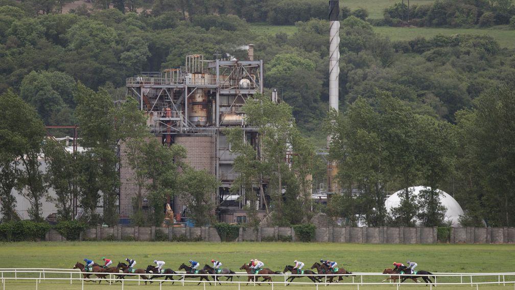 Listowel: track's mixed meeting starts at 2.30