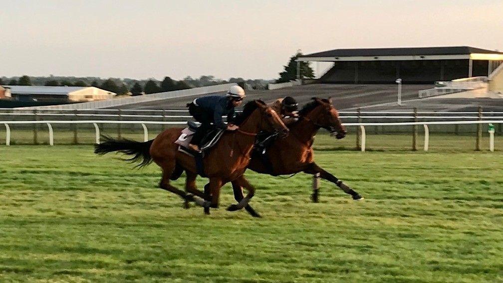 Eshaada (far side) mixes it with Teona on the watered gallop