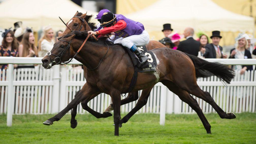 Dartmouth: the Queen's Hardwicke Stakes winner could yet sire a Royal Ascot winner