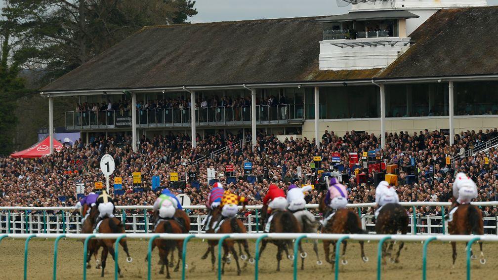 Lingfield: attracted a large crowd on Saturday