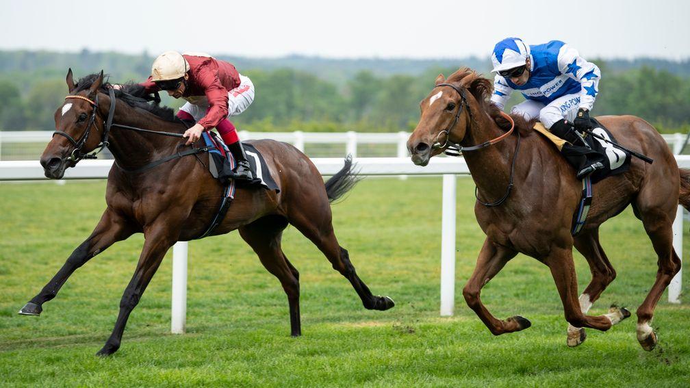 Muchly holds off Queen Power at Ascot this month