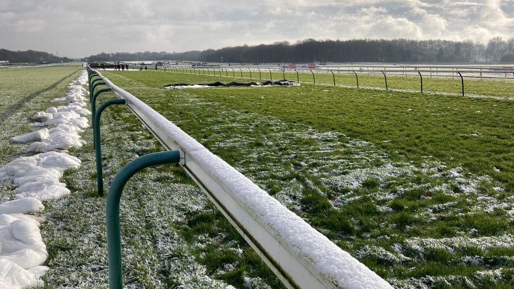 The frost covers are off at Haydock