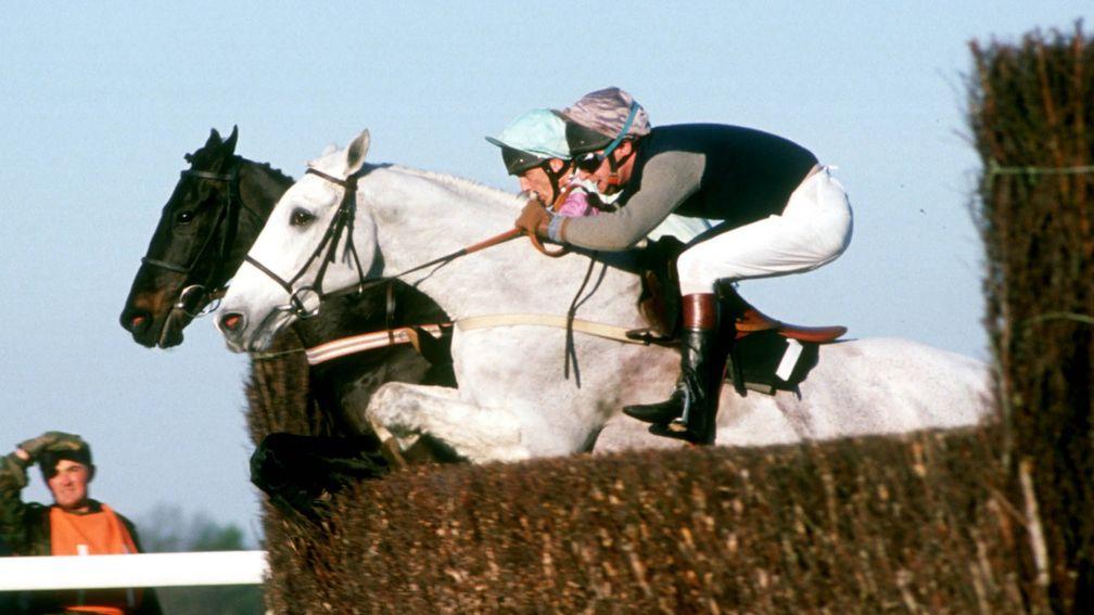 Desert Orchid (nearside) and Panto Prince go head-to-head at Ascot