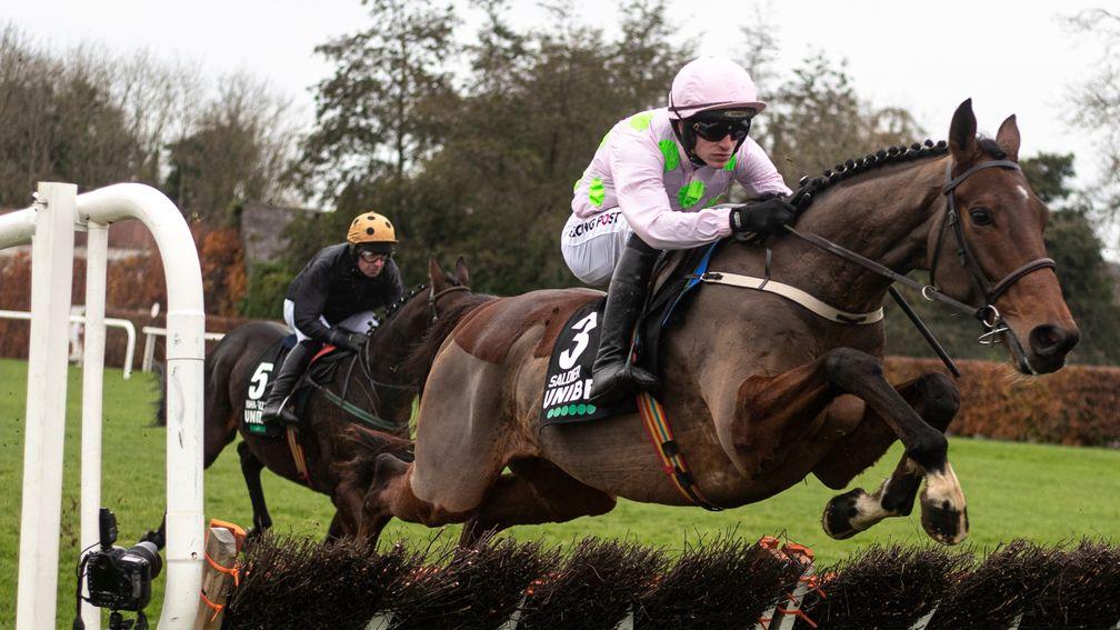 Saldier: two-time Grade 1 winner and Galway Hurdle hero could be set to plunder a big prize on the Flat