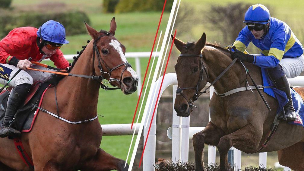 Sir Gerhard (left) and Dysart Dynamo: Cheltenham Festival targets are still up in the air