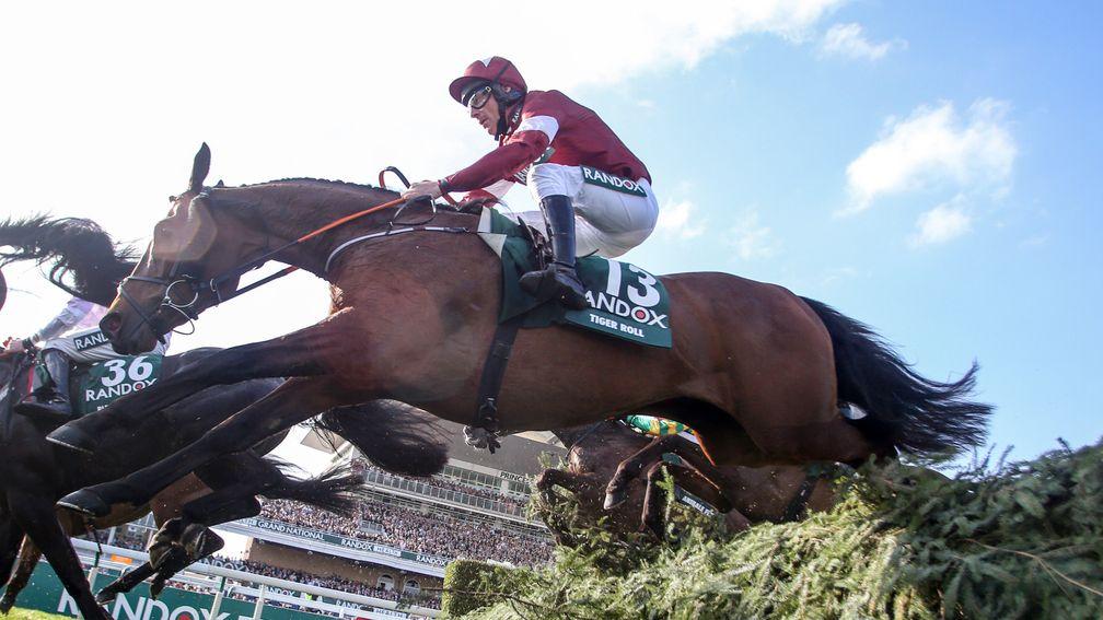 Tiger Roll and Davy Russell: on the way to a sparkling success