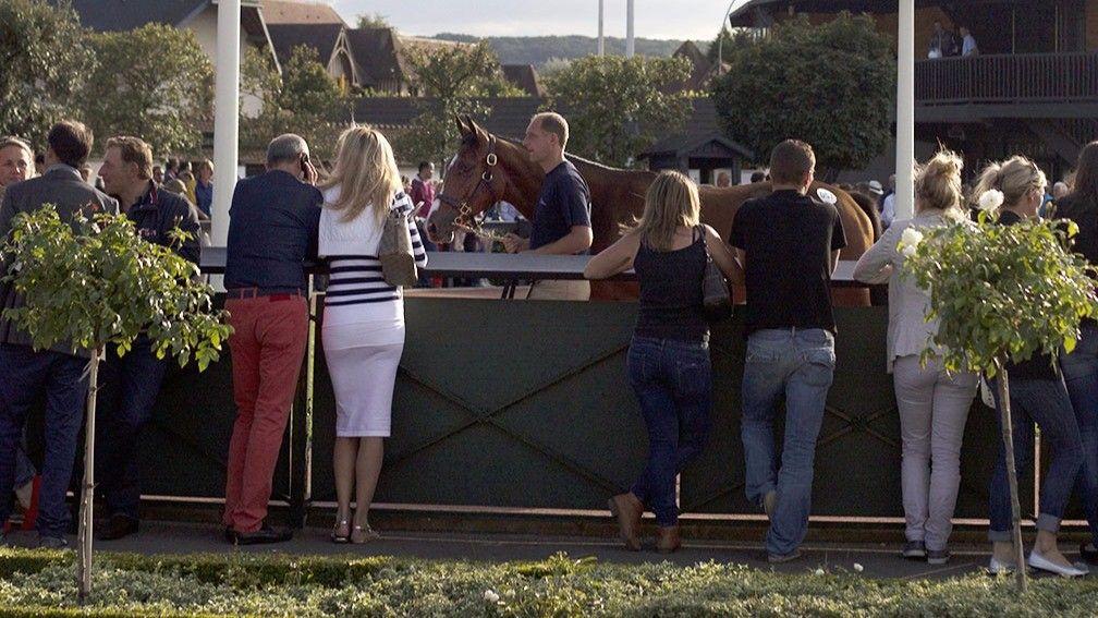 Arqana: the V2 Yearling Sale takes place at Deauville