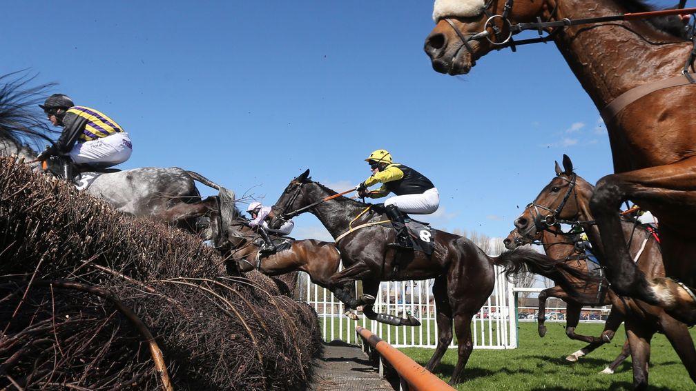 Crosshue Boy: seen here jumping a fence on the way to beating Dingo Dollar at Ayr's big festival in 2018