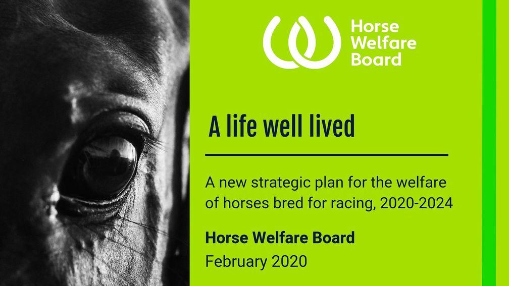 The 'A Life Well Lived' report was delivered by the Horse Welfare Board in February 2020