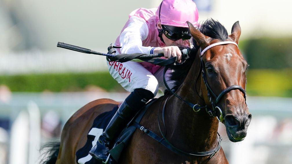 Queen For You: made a glittering impression on her first start at Ascot